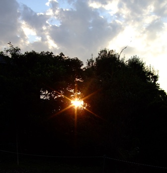 c0078480_0403756.jpg