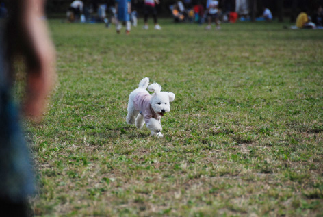 公園もぐみるく_d0113080_18362938.jpg