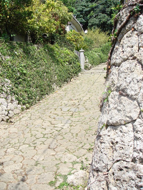 f0067584_02962.jpg