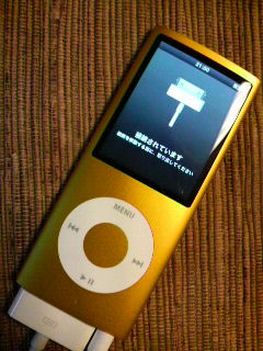 iPod nano_b0134285_2317595.jpg