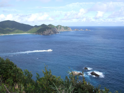 e0028387_14711.jpg