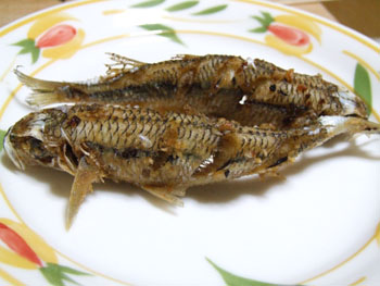 久々の釣り_e0028387_226178.jpg