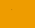 b0096491_846312.gif