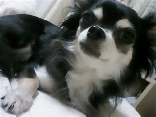 c0079492_0423796.jpg