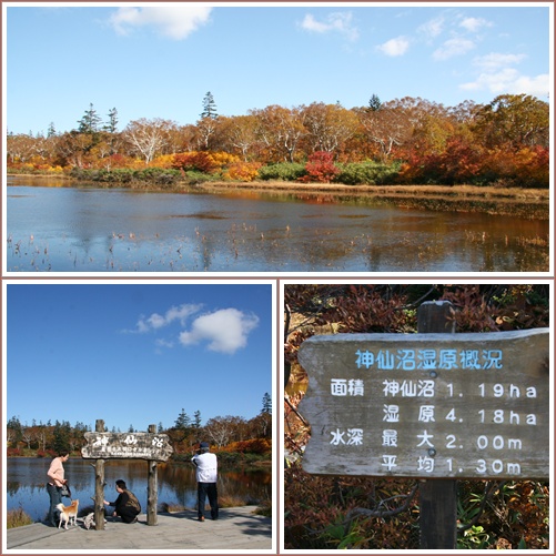 神仙沼の紅葉 １０ ８ 花日記