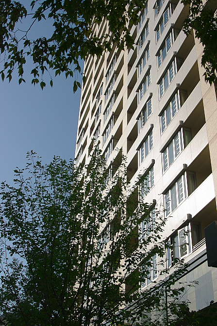 d0069495_2273372.jpg