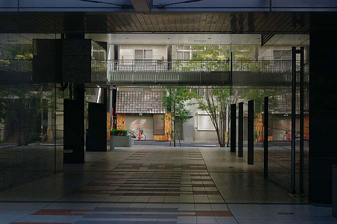 d0069495_22785.jpg