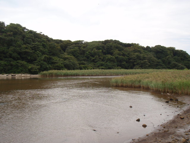 c0008598_9273286.jpg