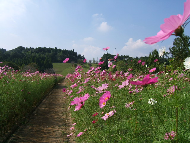 c0037701_148145.jpg