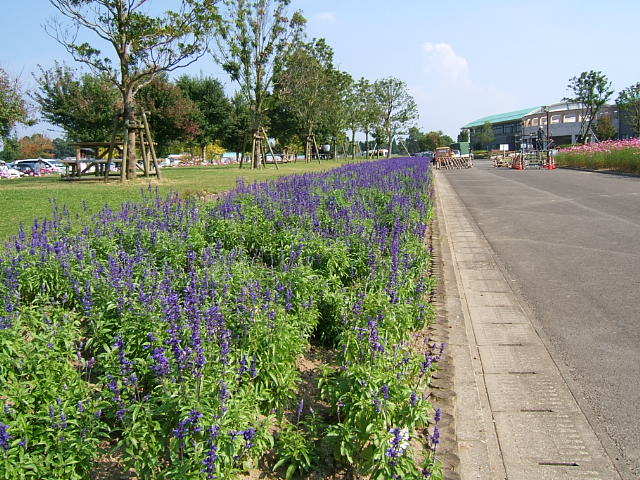 c0037701_149873.jpg