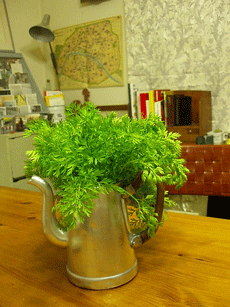 c0129702_2243845.gif