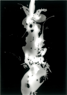 展覧会■11/13-18群葉:foliage from omotesando (横山純子/ YOKOYAMA Sumiko)【写真】_e0091712_3191145.jpg