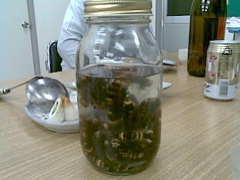 一期一会_e0138812_21553267.jpg