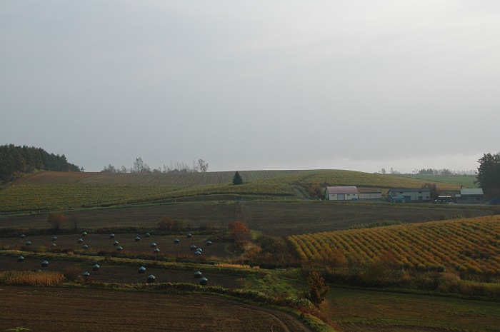 b0152416_23392537.jpg
