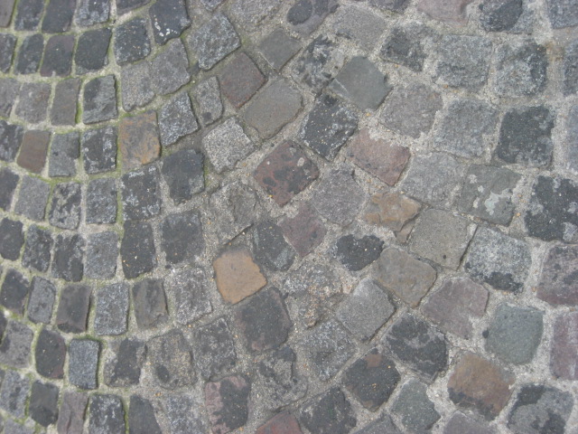 b0126623_5251736.jpg