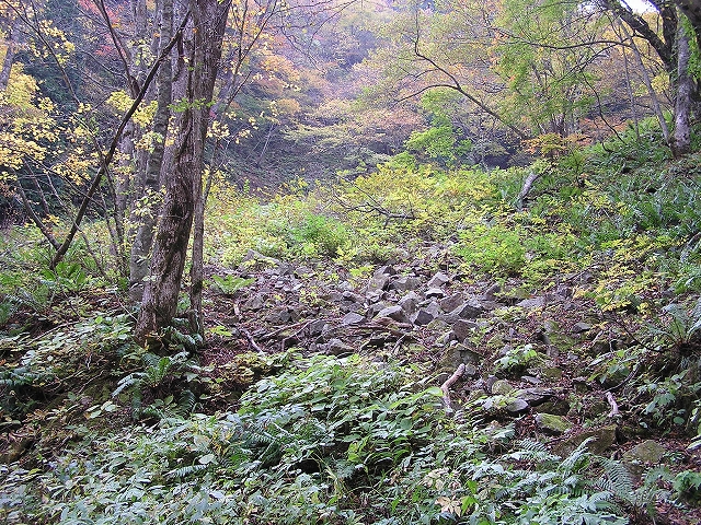 b0099538_18103673.jpg
