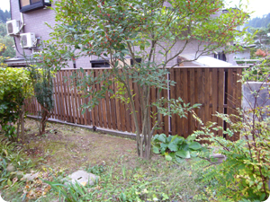 f0084138_22573220.jpg