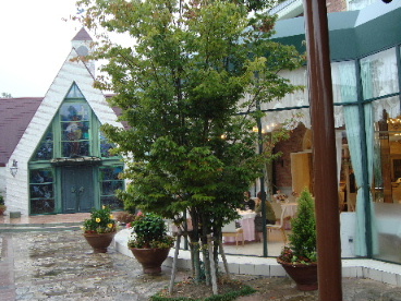 e0060041_20134232.jpg