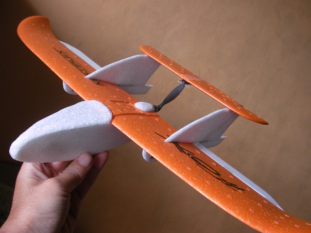 Toratanu FOX_d0067943_10113497.jpg