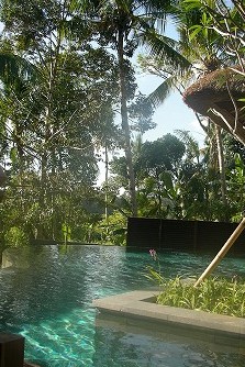 Kayumanis Ubud ～Honeymoon Suiteのプールで過ごす夕方～_a0074049_15433647.jpg