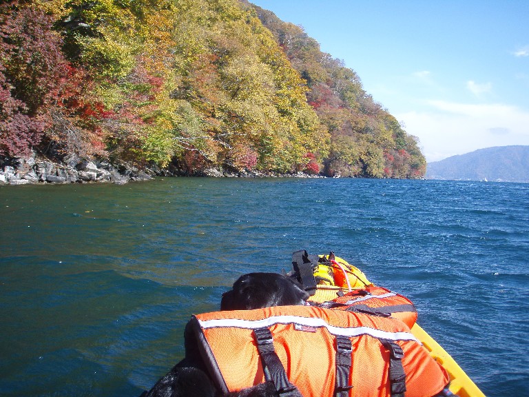 ラスト中禅寺湖　紅葉カヌー（１日目）_e0142754_953672.jpg