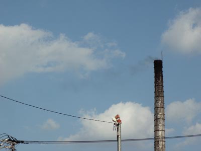 d0150659_11744.jpg
