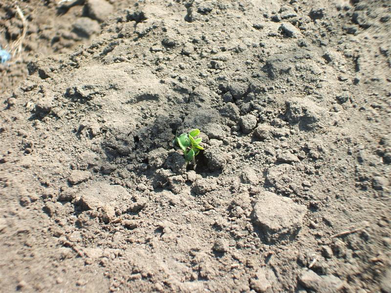d0098363_0301982.jpg