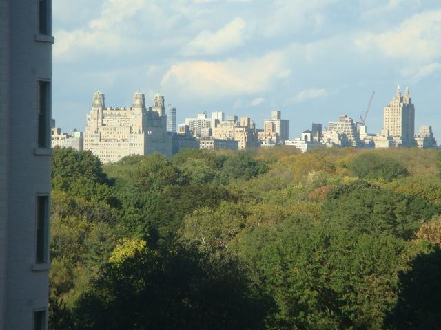 d0100880_850459.jpg