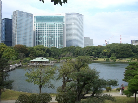 11月の社会人対象メンタルケアプログラムご案内_b0117785_10411952.jpg