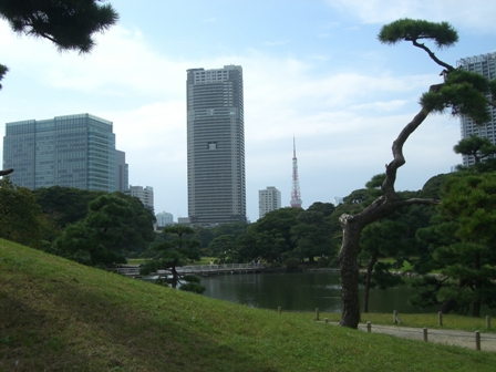 11月の社会人対象メンタルケアプログラムご案内_b0117785_10413981.jpg
