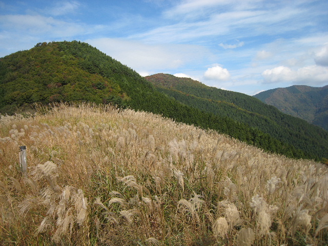 ユルユル山_e0111396_15522215.jpg
