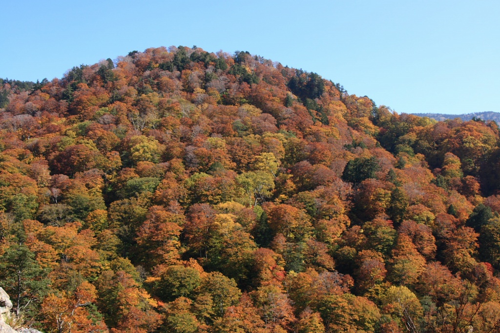 e0063003_15152.jpg