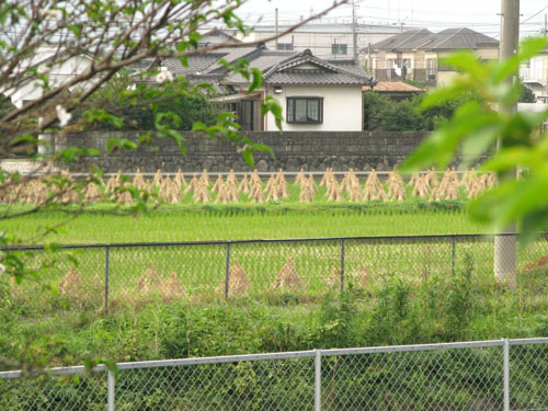 雨さんのダンスパーティーの前に・・・_c0011204_2241482.jpg