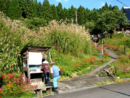 芦生2_e0048413_19544965.jpg