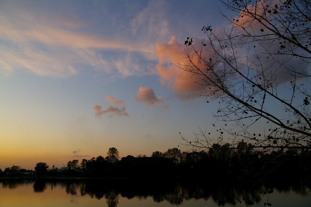 夕暮れの水辺_b0148617_6495745.jpg