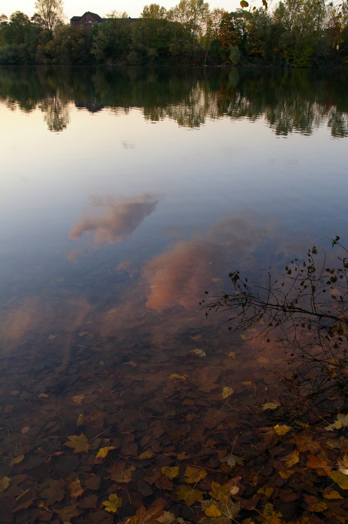 夕暮れの水辺_b0148617_65047100.jpg