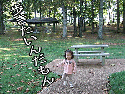 c0151122_2253485.gif