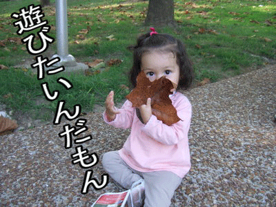 c0151122_22542223.gif