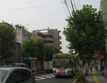 ~街路樹:プラタナス~_f0144724_15325090.jpg
