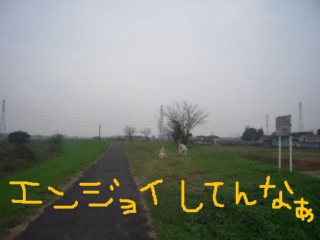 f0176830_17311156.jpg