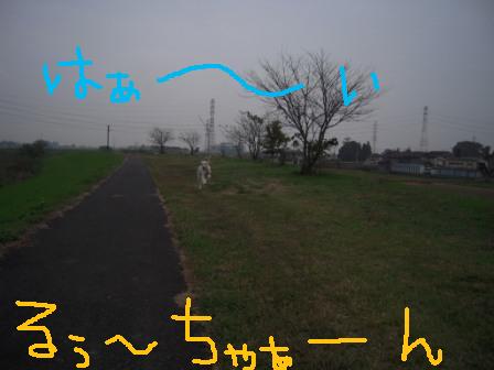 f0176830_17333620.jpg