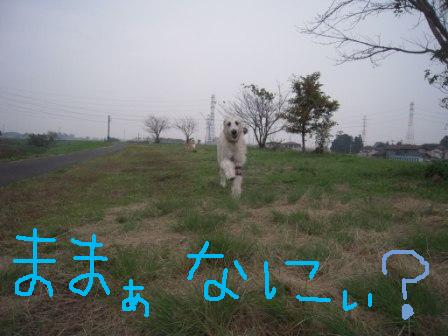 f0176830_17341368.jpg
