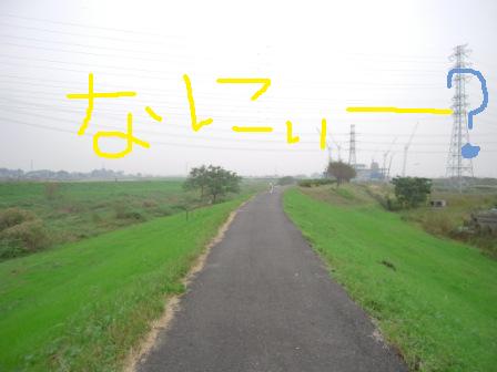 f0176830_17361555.jpg