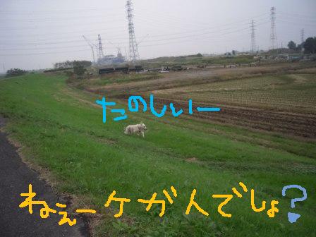 f0176830_17384680.jpg