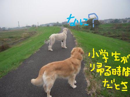 f0176830_17493145.jpg