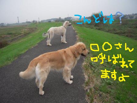 f0176830_17495763.jpg