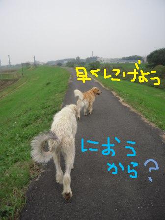 f0176830_17503551.jpg