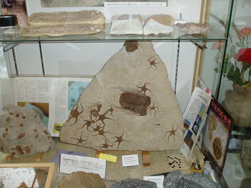 c0107149_5453054.jpg