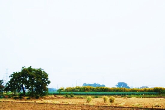 e0126350_2245627.jpg