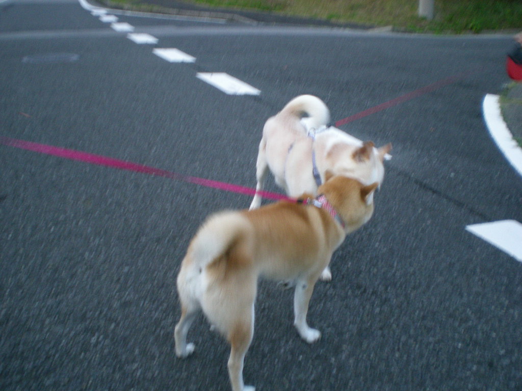 2008年10月23日(木)気になる2人!_f0060461_1757495.jpg